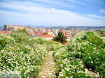 GriechenlandWeb Chania Stadt Chania Kreta - Foto GriechenlandWeb.de