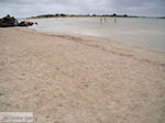Foto Chania Kreta Kreta GriechenlandWeb.de - Foto GriechenlandWeb.de