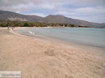 GriechenlandWeb Zandstrand Elafonisi (Elafonissi) | Chania Kreta | Foto 10 - Foto GriechenlandWeb.de