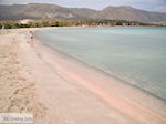 Zandstrand Elafonisi (Elafonissi) | Chania Kreta | Foto 33 - Foto van De Griekse Gids