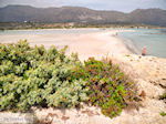 Zandstrand Elafonisi (Elafonissi) | Chania Kreta | Foto 49 - Foto van De Griekse Gids