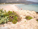 GriechenlandWeb.de Elafonisi Chania Kreta - Foto GriechenlandWeb.de