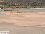Foto Chania Kreta Kreta GriechenlandWeb.de - Foto GriechenlandWeb.de
