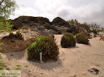 Foto Chania Kreta Kreta GriechenlandWeb.de - Foto GriechenlandWeb.de