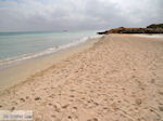 Zandstrand Elafonisi (Elafonissi) | Chania Kreta | Foto 66 - Foto GriechenlandWeb.de