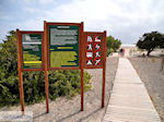 GriechenlandWeb.de Elafonisi Chania Kreta - Foto GriechenlandWeb.de