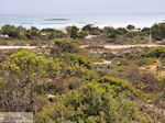 Foto Chania Kreta Kreta GriechenlandWeb.de - Foto GriechenlandWeb.de