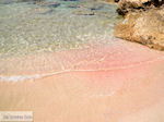GriechenlandWeb Falasarna Chania Kreta - Foto GriechenlandWeb.de