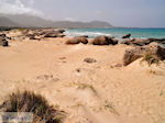 GriechenlandWeb Falasarna Chania Kreta - Foto GriechenlandWeb.de