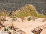 GriechenlandWeb Falasarna Chania Kreta - Foto GriechenlandWeb.de