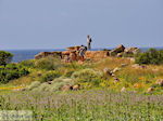 Oud Falassarna (Falasarna) Chania Kreta | Griekenland | Foto 27 - Foto van De Griekse Gids