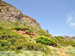 GriechenlandWeb Falasarna Chania Kreta - Foto GriechenlandWeb.de