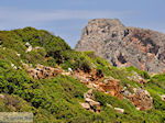GriechenlandWeb Falasarna Chania Kreta - Foto GriechenlandWeb.de
