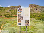 GriechenlandWeb Falasarna Chania Kreta - Foto GriechenlandWeb.de