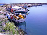 Vissershaventje Kolymbari (Kolimbari) foto 3 | Chania Kreta | Griekenland - Foto van De Griekse Gids