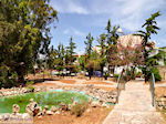 GriechenlandWeb Archanes Heraklion Kreta - Foto GriechenlandWeb.de