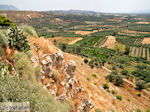 GriechenlandWeb Festos Heraklion Kreta - Foto GriechenlandWeb.de