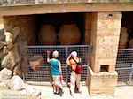 GriechenlandWeb Knossos Heraklion Kreta - Foto GriechenlandWeb.de
