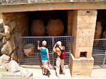 GriechenlandWeb.de Knossos Heraklion Kreta - Foto GriechenlandWeb.de