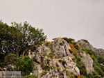 GriechenlandWeb.de Kourtaliotiko Schlucht Rethymnon Kreta - Foto GriechenlandWeb.de