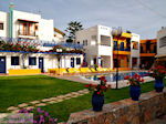 GriechenlandWeb Malia Heraklion Kreta - Foto GriechenlandWeb.de