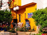 GriechenlandWeb Malia Heraklion Kreta - Foto GriechenlandWeb.de