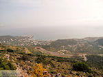 GriechenlandWeb Malia Heraklion Kreta - Foto GriechenlandWeb.de