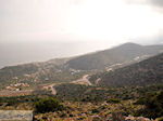 GriechenlandWeb Malia Heraklion Kreta - Foto GriechenlandWeb.de