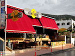 GriechenlandWeb Malia Heraklion Kreta - Foto GriechenlandWeb.de