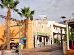 GriechenlandWeb Malia Heraklion Kreta - Foto GriechenlandWeb.de