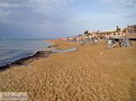 GriechenlandWeb Malia Heraklion Kreta - Foto GriechenlandWeb.de