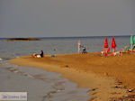 GriechenlandWeb Malia Heraklion Kreta - Foto GriechenlandWeb.de
