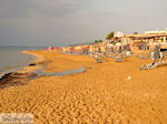GriechenlandWeb Malia Heraklion Kreta - Foto GriechenlandWeb.de