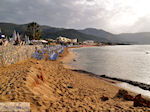 GriechenlandWeb Malia Heraklion Kreta - Foto GriechenlandWeb.de