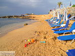 GriechenlandWeb Malia Heraklion Kreta - Foto GriechenlandWeb.de