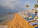 GriechenlandWeb Malia Heraklion Kreta - Foto GriechenlandWeb.de