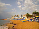 GriechenlandWeb Malia Heraklion Kreta - Foto GriechenlandWeb.de
