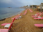 GriechenlandWeb Malia Heraklion Kreta - Foto GriechenlandWeb.de