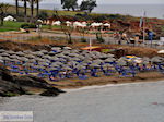 GriechenlandWeb Panormos Rethymnon Kreta - Foto GriechenlandWeb.de