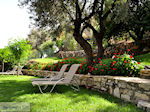 GriechenlandWeb Zaros Heraklion Kreta - Foto GriechenlandWeb.de