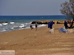 GriechenlandWeb.de Het Strandt tussen Agia Marina und Kato Stalos  | Chania | Kreta - Foto GriechenlandWeb.de