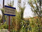 GriechenlandWeb Platanias Chania Kreta - Foto GriechenlandWeb.de