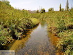 De rivier in Platanias  | Chania | Kreta - Foto van De Griekse Gids