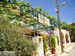 Taverna Matigis in Stalos  | Chania | Kreta - Foto van De Griekse Gids