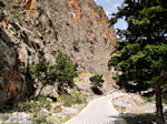 Samariakloof (Chania Kreta) - Foto van De Griekse Gids