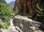 GriechenlandWeb Samaria Chania Kreta - Foto GriechenlandWeb.de