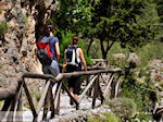 GriechenlandWeb Samaria Chania Kreta - Foto GriechenlandWeb.de