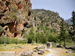 GriechenlandWeb Samaria Chania Kreta - Foto GriechenlandWeb.de