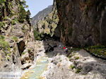GriechenlandWeb Samaria Chania Kreta - Foto GriechenlandWeb.de