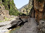 GriechenlandWeb Samaria Chania Kreta - Foto GriechenlandWeb.de